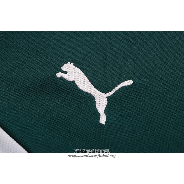 Chandal del Palmeiras Manga Corta 2022/2023 Verde - Pantalon Corto